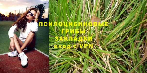 хмурый Липки