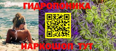 эйфоретик Бийск