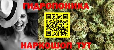 эйфоретик Бийск