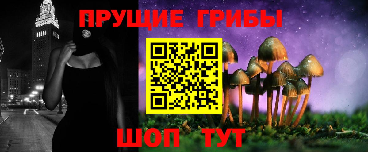 МЕФ Великий Новгород